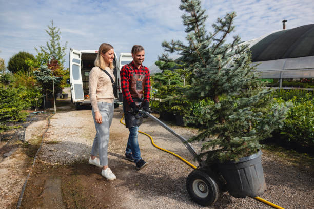 Maize, KS Tree Removal Company